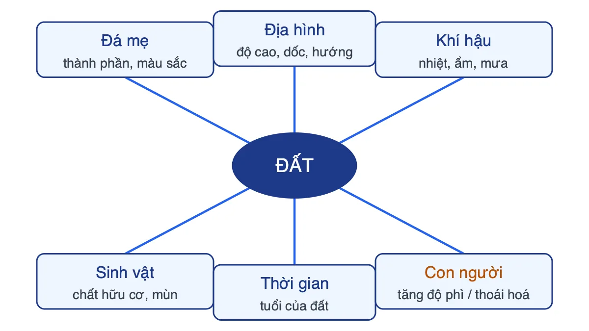 Sơ đồ sáu nhân tố hình thành đất: đá mẹ, địa hình, khí hậu, sinh vật, thời gian, con người