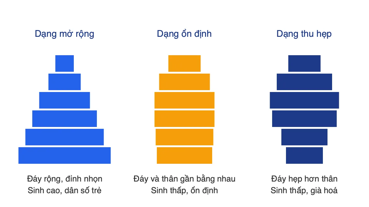 Sơ đồ ba dạng tháp dân số: mở rộng, ổn định và thu hẹp