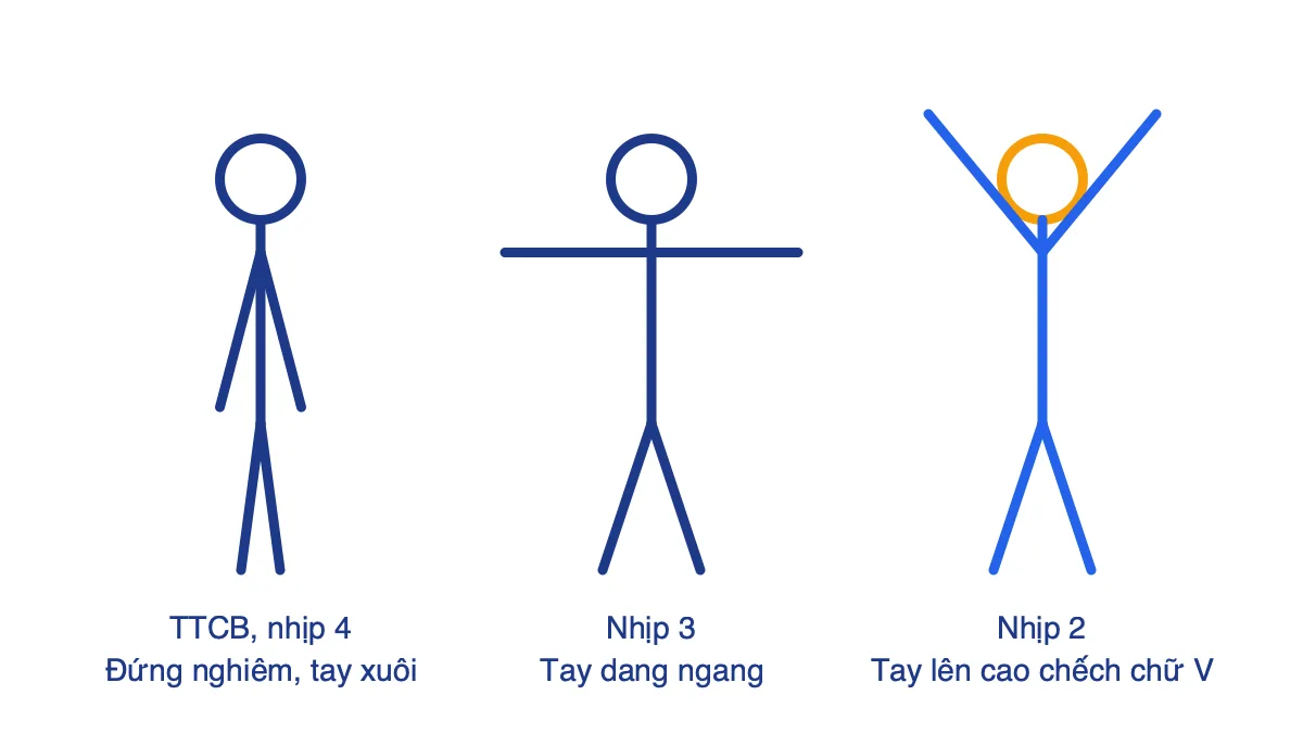 Ba tư thế tay: đứng nghiêm tay xuôi, tay dang ngang và tay lên cao chếch chữ V