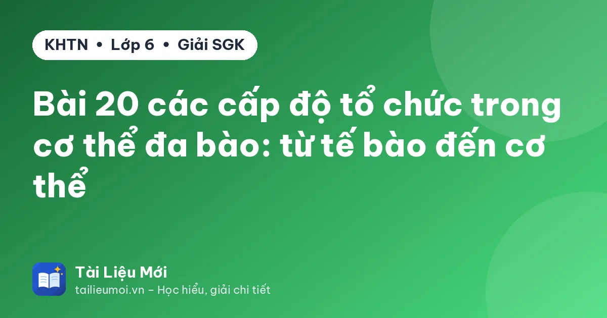 Bài 20 các cấp độ tổ chức trong cơ thể đa bào: từ tế bào đến cơ thể