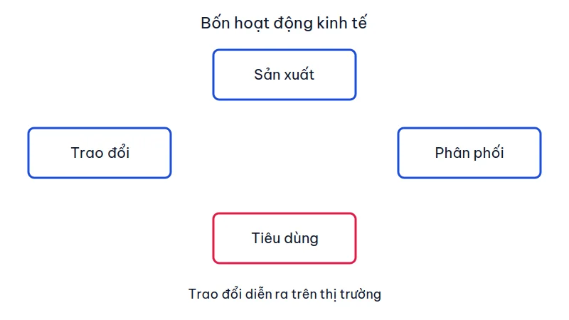 Bốn hoạt động kinh tế sản xuất, phân phối, trao đổi và tiêu dùng nối thành một vòng