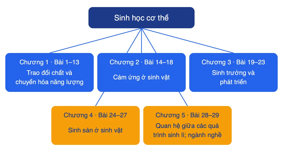 Sơ đồ 5 chương của Sinh học 11 Kết nối tri thức