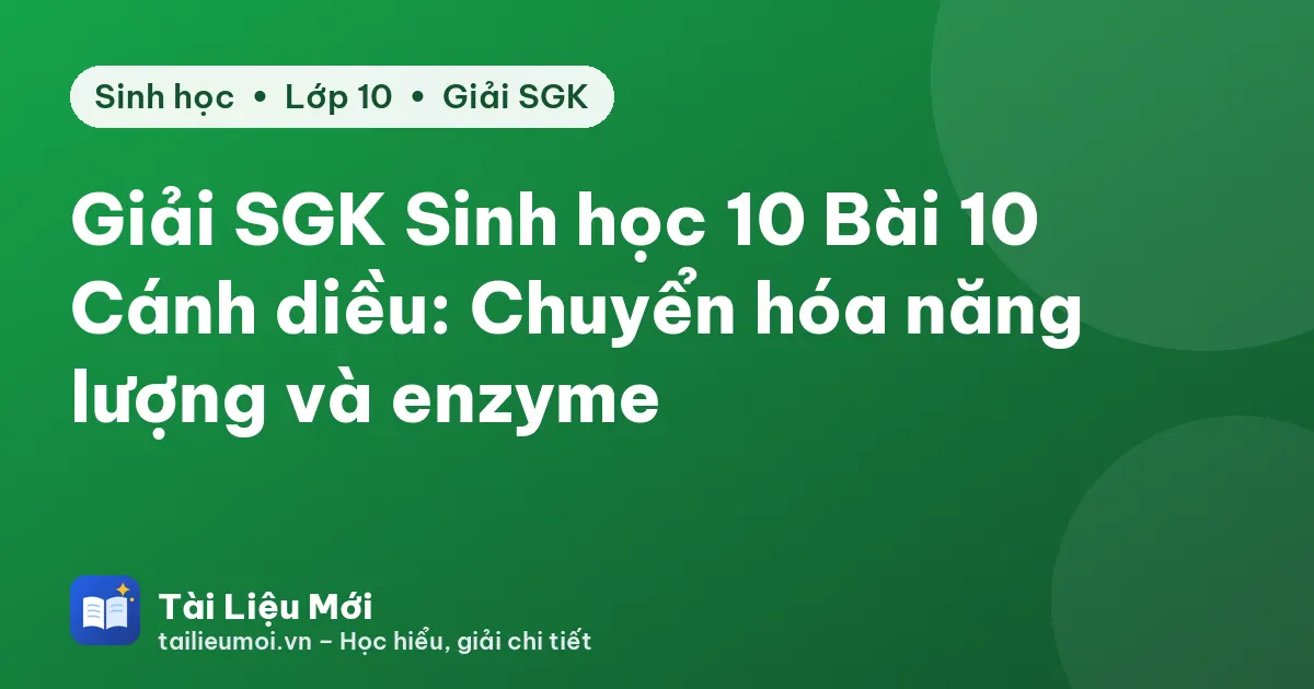 Giải SGK Sinh học 10 Bài 10 Cánh diều: Chuyển hóa năng lượng và enzyme