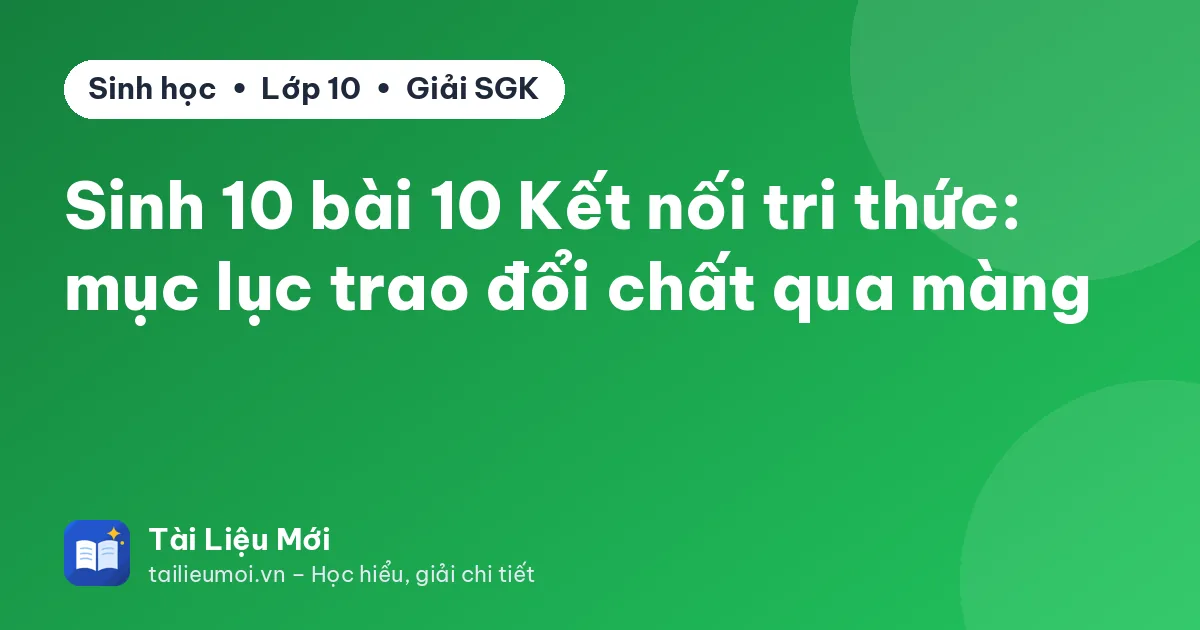 Sinh 10 bài 10 Kết nối tri thức: mục lục trao đổi chất qua màng