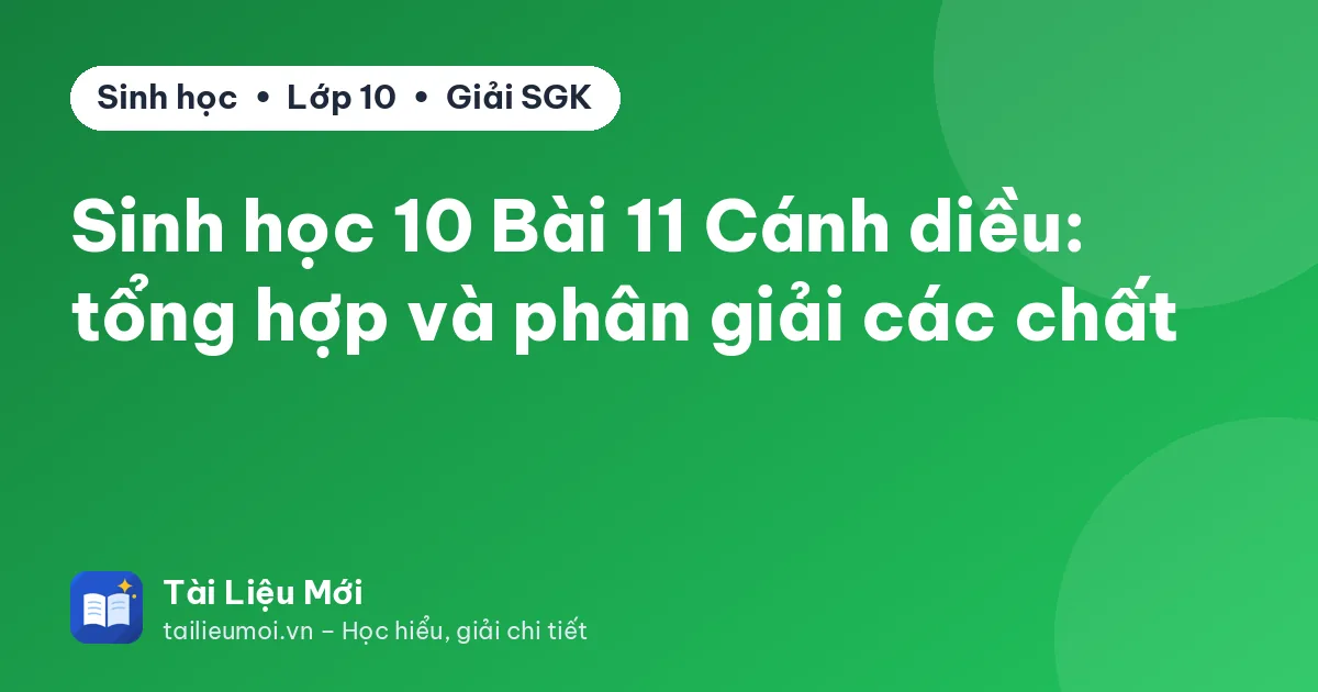 Sinh học 10 Bài 11 Cánh diều: tổng hợp và phân giải các chất