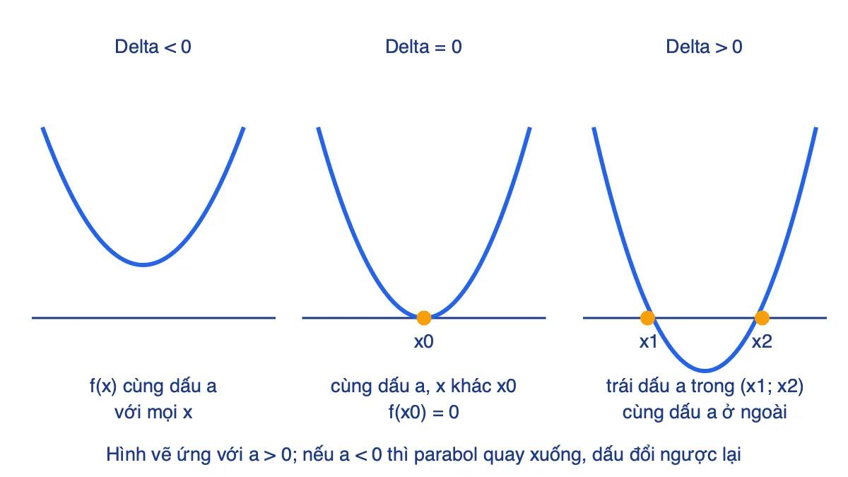 Ba parabol có a dương minh hoạ ba trường hợp của biệt thức: không cắt, tiếp xúc và cắt trục hoành tại hai điểm
