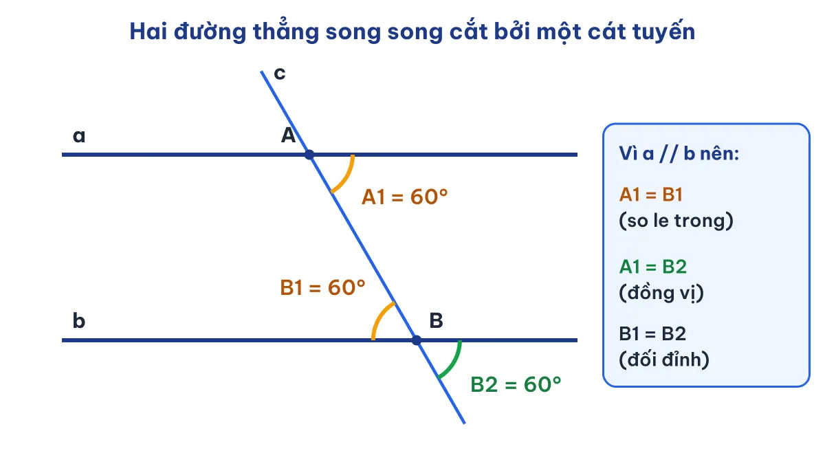 Góc so le trong và đồng vị khi hai đường thẳng song song – Toán 7 Chân trời sáng tạo
