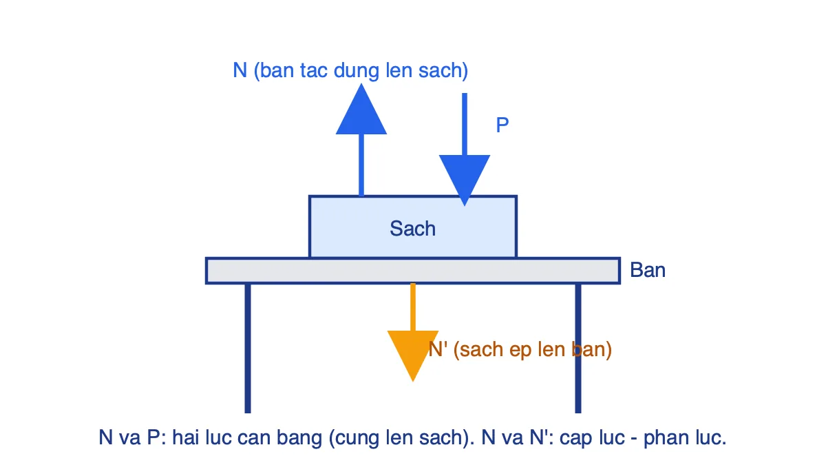 Sơ đồ lực của quyển sách đặt trên bàn: N, P cùng đặt lên sách và N' đặt lên bàn