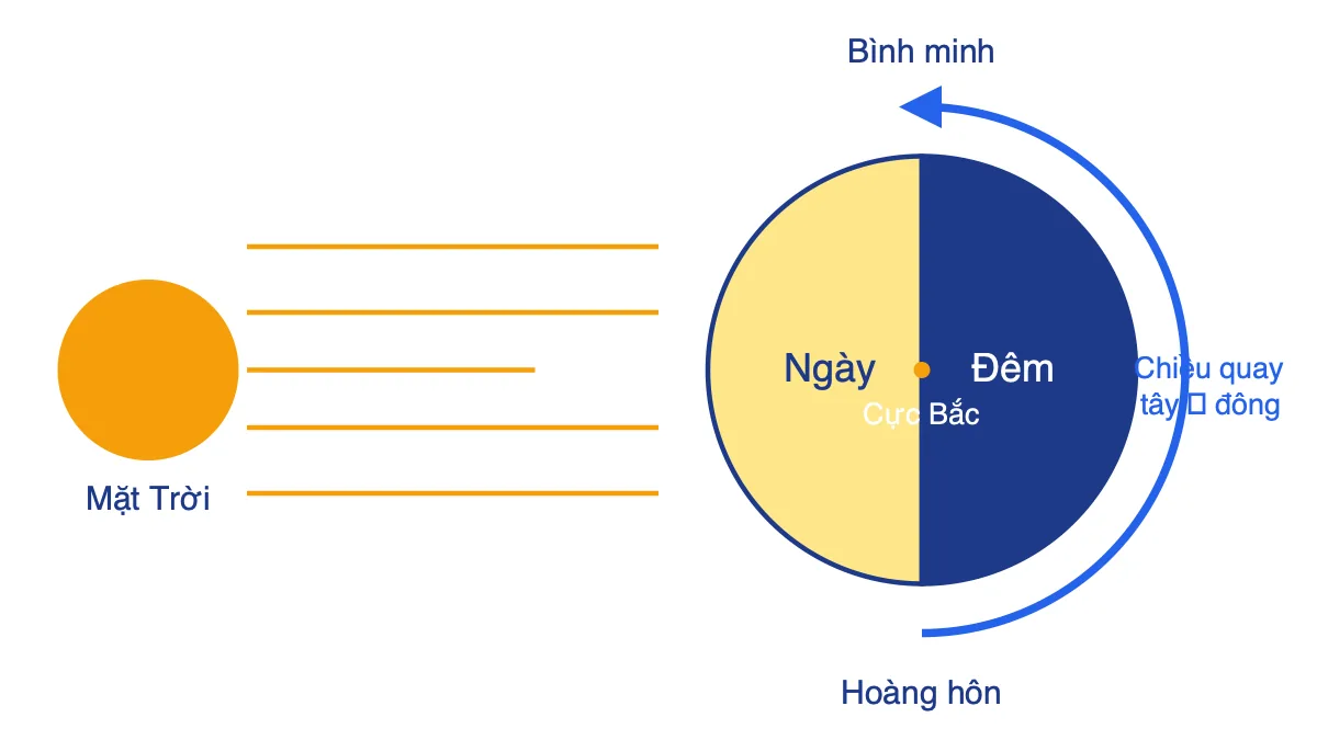 Sơ đồ Trái Đất nhìn từ cực Bắc, nửa hướng về Mặt Trời là ngày, nửa kia là đêm, mũi tên chỉ chiều tự quay