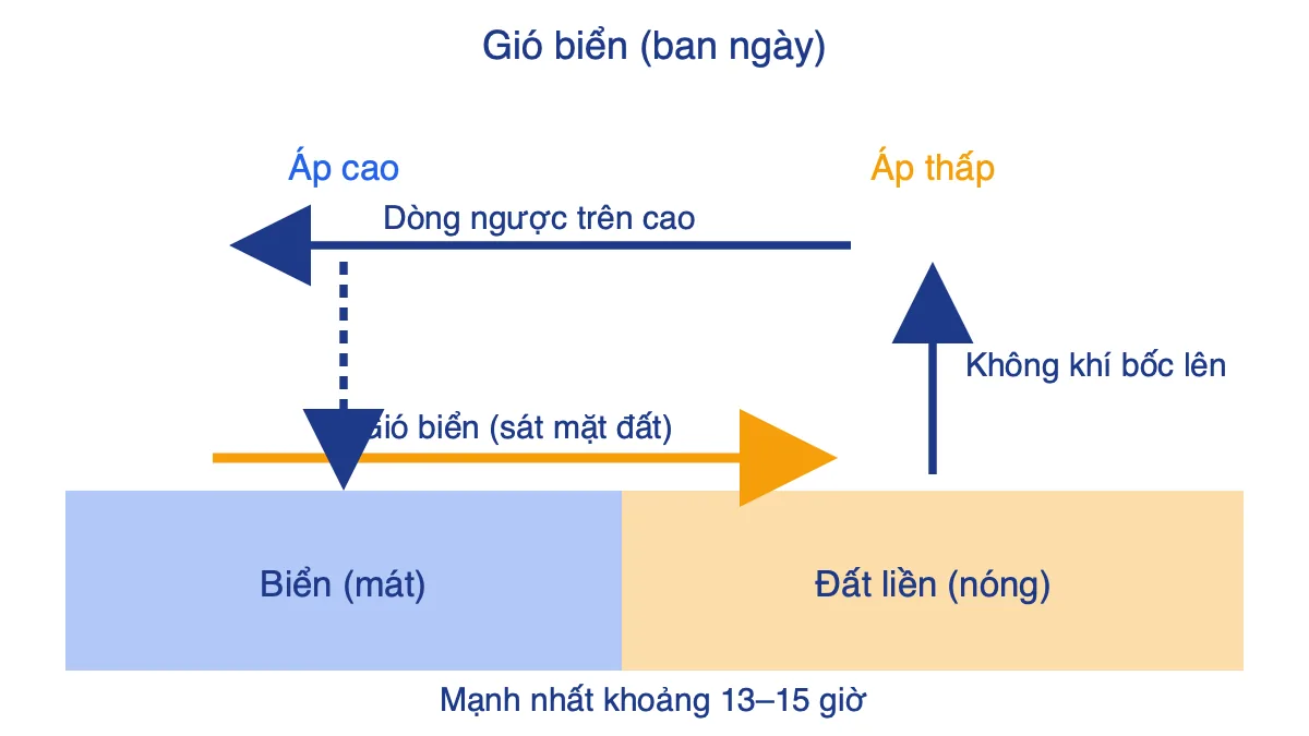 Sơ đồ gió biển ban ngày: gió thổi từ biển vào đất liền ở sát mặt đất, ngược lại ở trên cao
