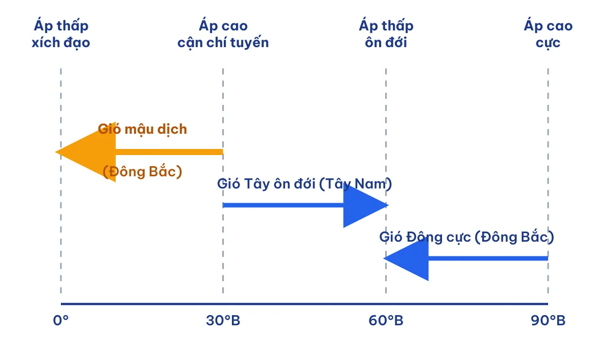 Sơ đồ gió mậu dịch thổi từ áp cao cận chí tuyến về áp thấp xích đạo cùng gió Tây ôn đới và gió Đông cực ở bán cầu Bắc