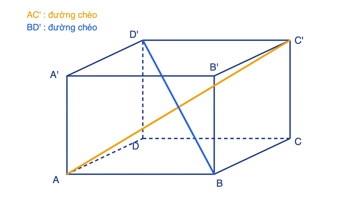 Hình hộp chữ nhật ABCD.A'B'C'D' với hai đường chéo AC' và BD' được tô màu