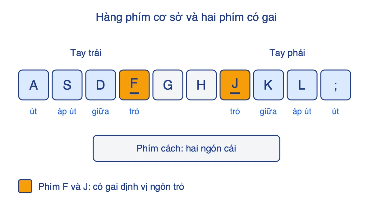 Hàng phím cơ sở A S D F G H J K L có hai phím F và J được tô màu vàng, kèm tên ngón tay đặt trên từng phím