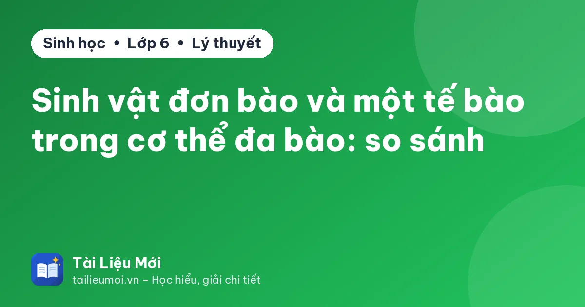 Sinh vật đơn bào và một tế bào trong cơ thể đa bào: so sánh