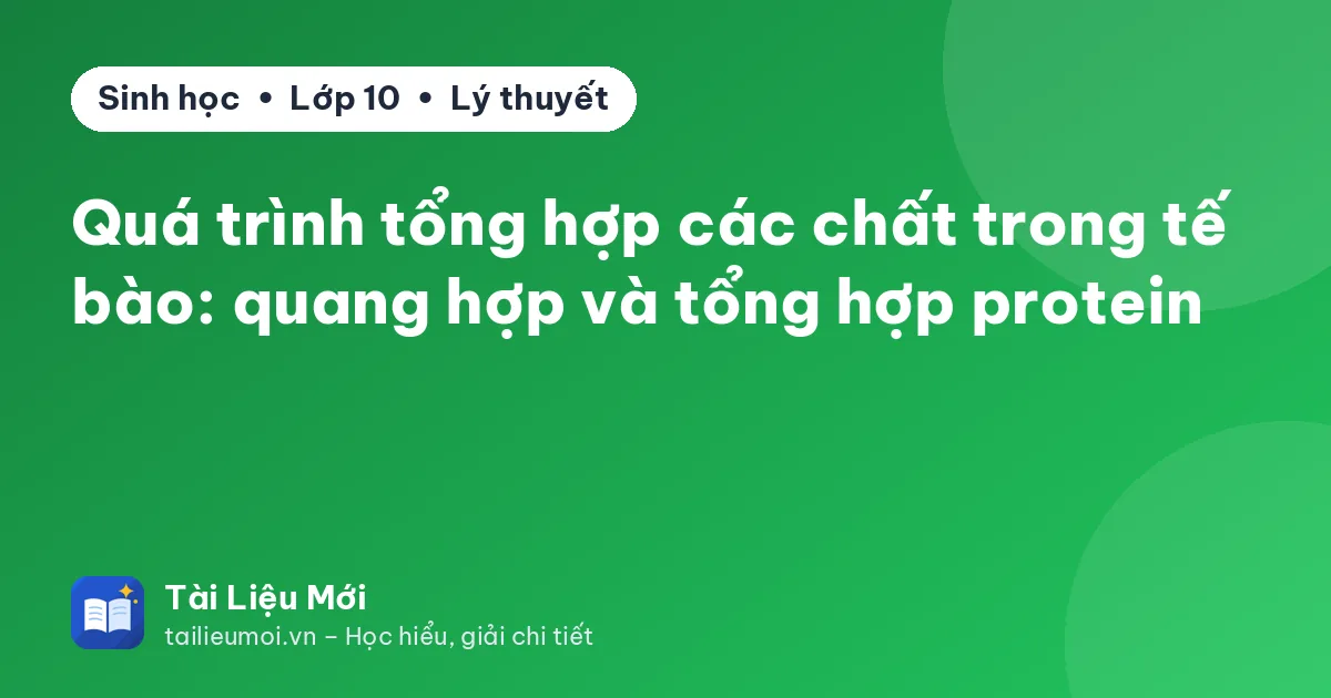 Quá trình tổng hợp các chất trong tế bào: quang hợp và tổng hợp protein