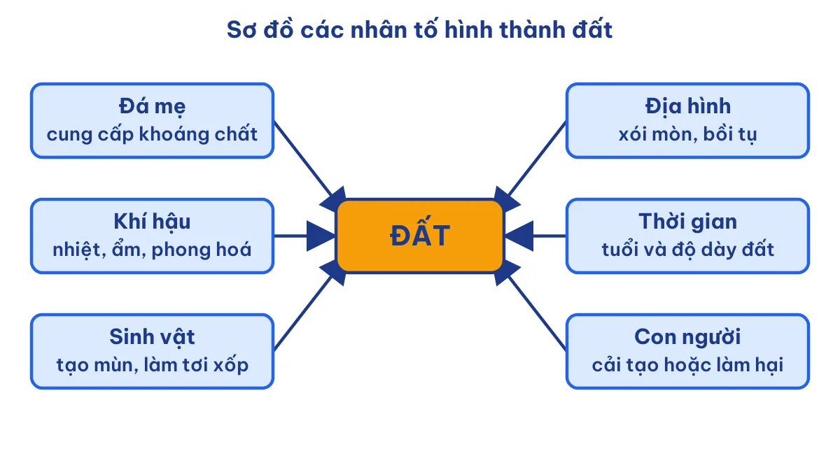 Sơ đồ thể hiện các nhân tố hình thành đất gồm đá mẹ, khí hậu, sinh vật, địa hình, thời gian, con người