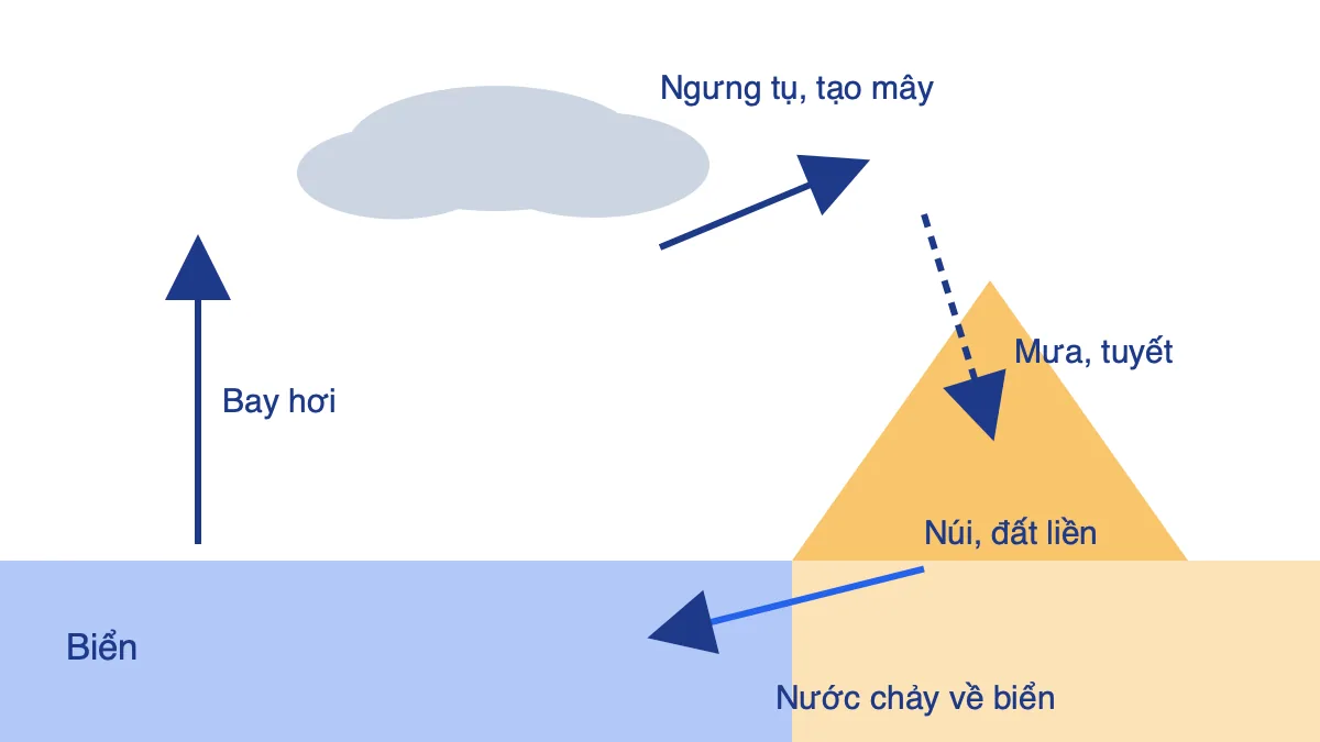 Sơ đồ vòng tuần hoàn nước: nước bốc hơi từ biển, ngưng tụ thành mây, rơi thành mưa trên đất liền rồi chảy về biển