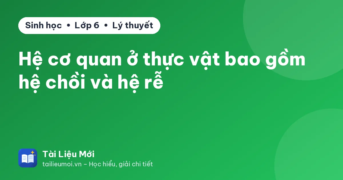 Hệ cơ quan ở thực vật bao gồm hệ chồi và hệ rễ