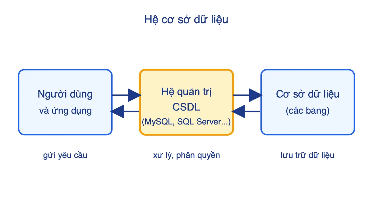 Sơ đồ vị trí của hệ quản trị cơ sở dữ liệu giữa người dùng và cơ sở dữ liệu
