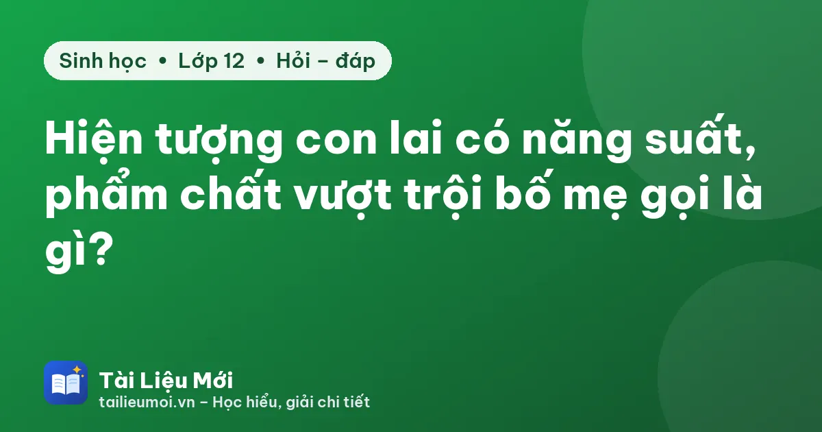 Hiện tượng con lai có năng suất, phẩm chất vượt trội bố mẹ gọi là gì?