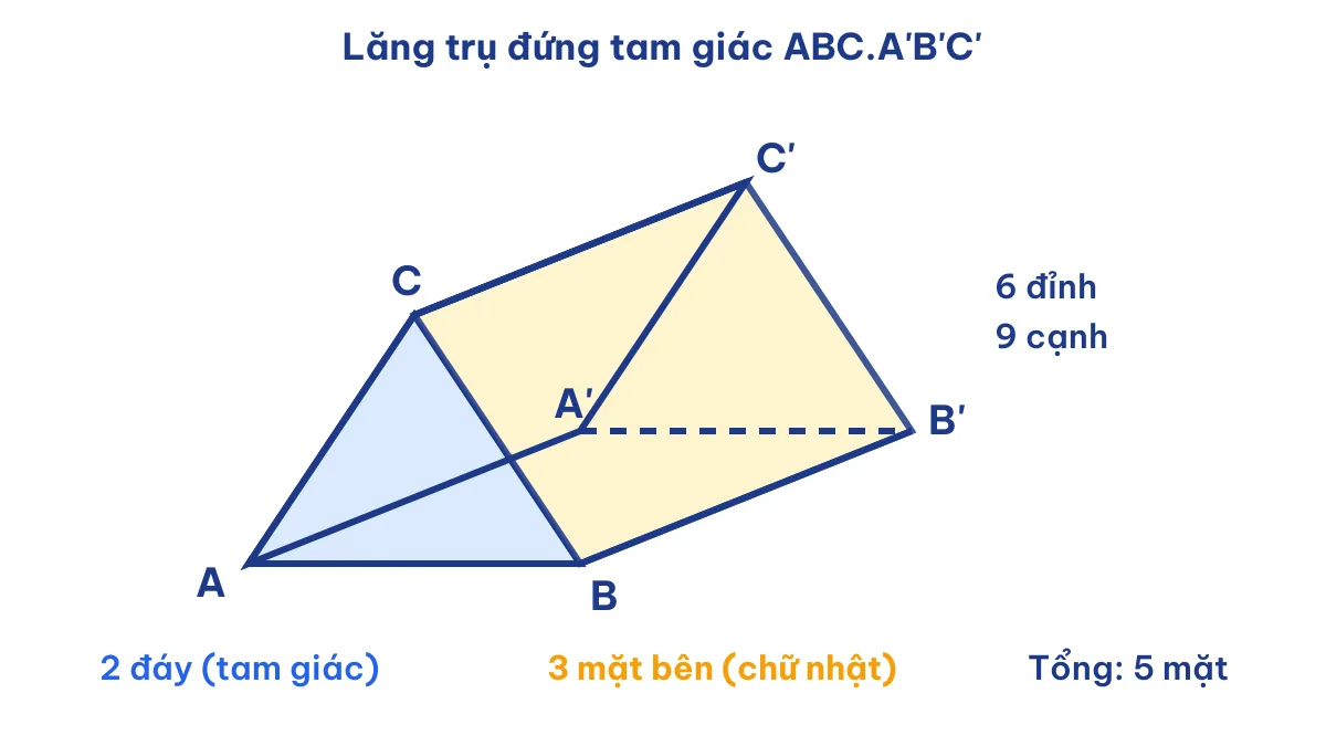 Hình lăng trụ tam giác có bao nhiêu mặt: hai đáy tam giác và ba mặt bên