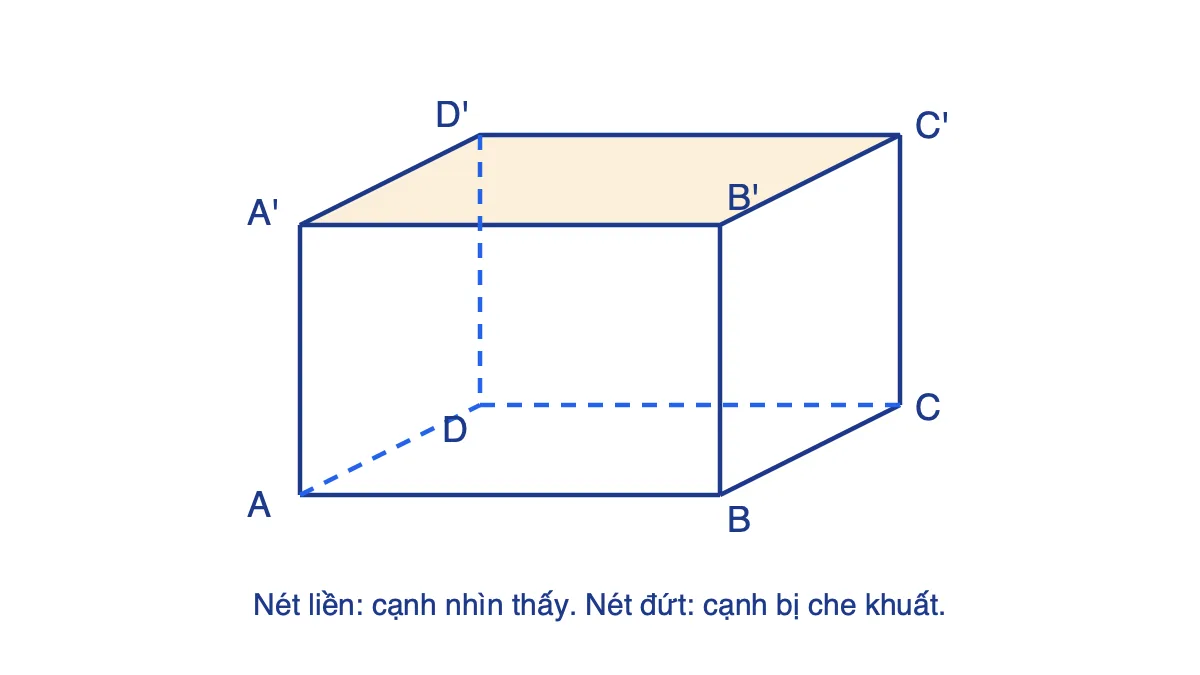 Hình lăng trụ đứng tứ giác ABCD.A'B'C'D' với các cạnh khuất vẽ nét đứt