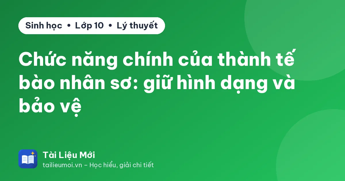 Chức năng chính của thành tế bào nhân sơ: giữ hình dạng và bảo vệ