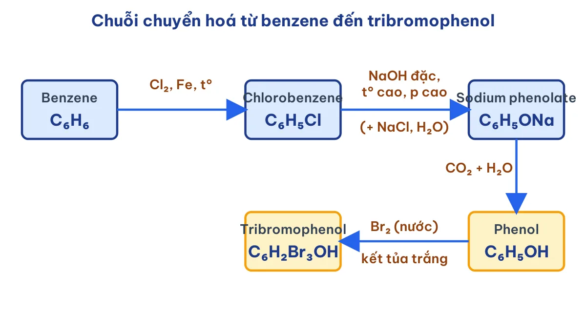 Sơ đồ chuyển hoá benzene thành chlorobenzene, sodium phenolate, phenol và tribromophenol