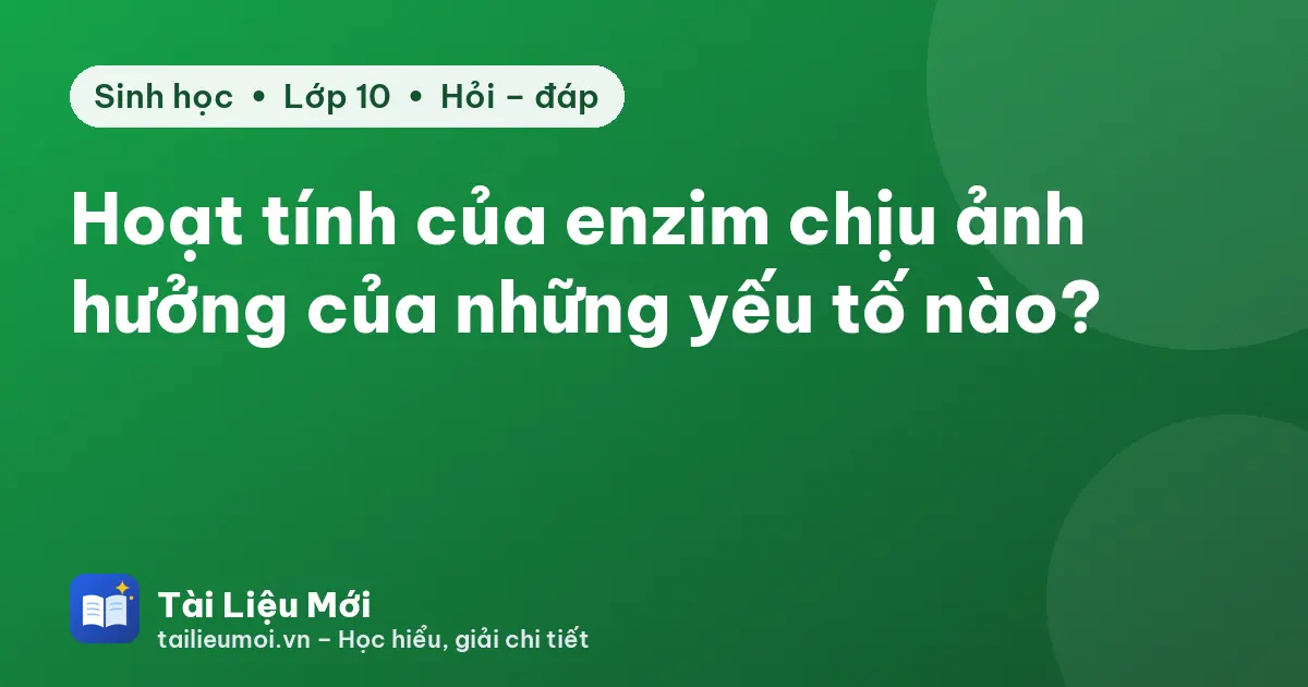 Hoạt tính của enzim chịu ảnh hưởng của những yếu tố nào?