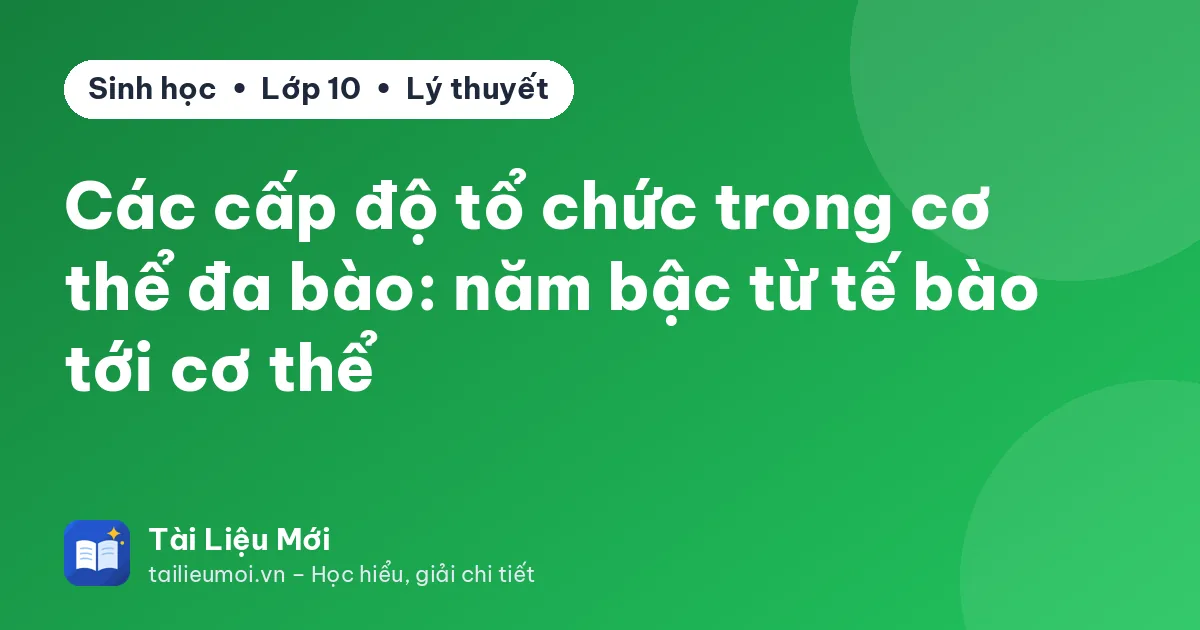 Các cấp độ tổ chức trong cơ thể đa bào: năm bậc từ tế bào tới cơ thể