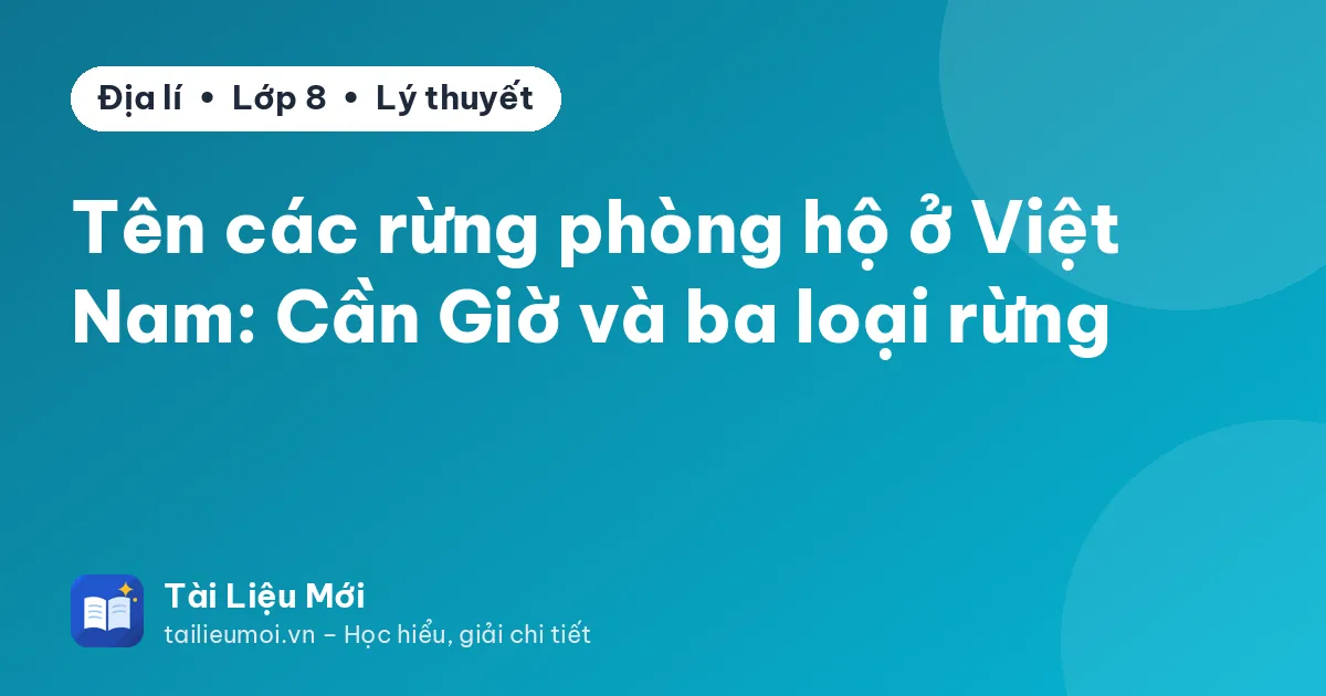 Tên các rừng phòng hộ ở Việt Nam: Cần Giờ và ba loại rừng