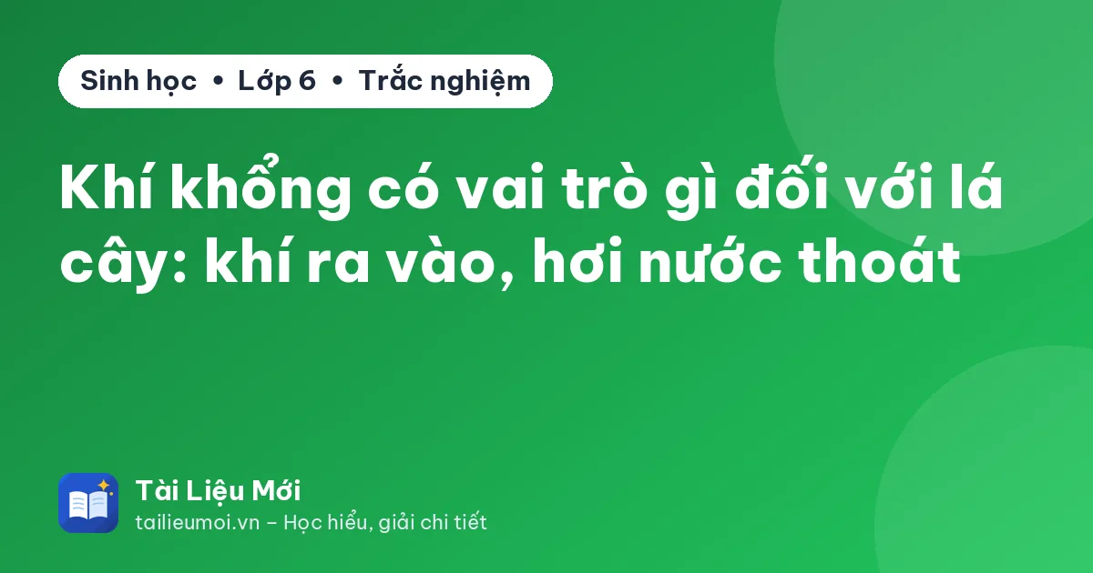 Khí khổng có vai trò gì đối với lá cây: khí ra vào, hơi nước thoát