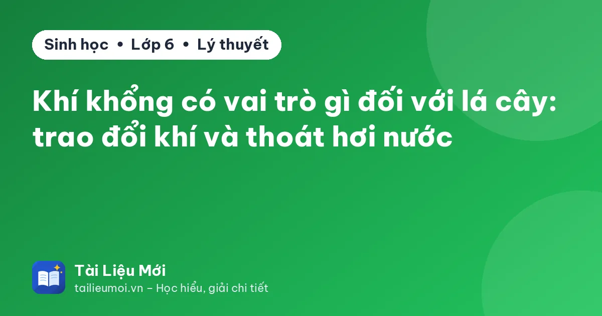 Khí khổng có vai trò gì đối với lá cây: trao đổi khí và thoát hơi nước