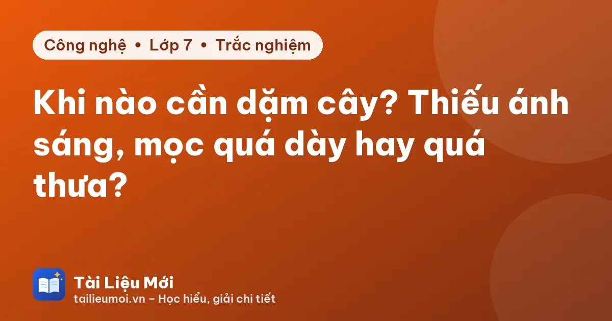 Khi nào cần dặm cây? Thiếu ánh sáng, mọc quá dày hay quá thưa?