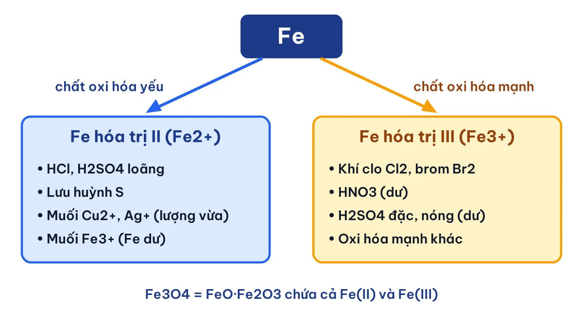 Sơ đồ Fe hóa trị mấy: Fe hóa trị II với chất oxi hóa yếu, Fe hóa trị III với chất oxi hóa mạnh