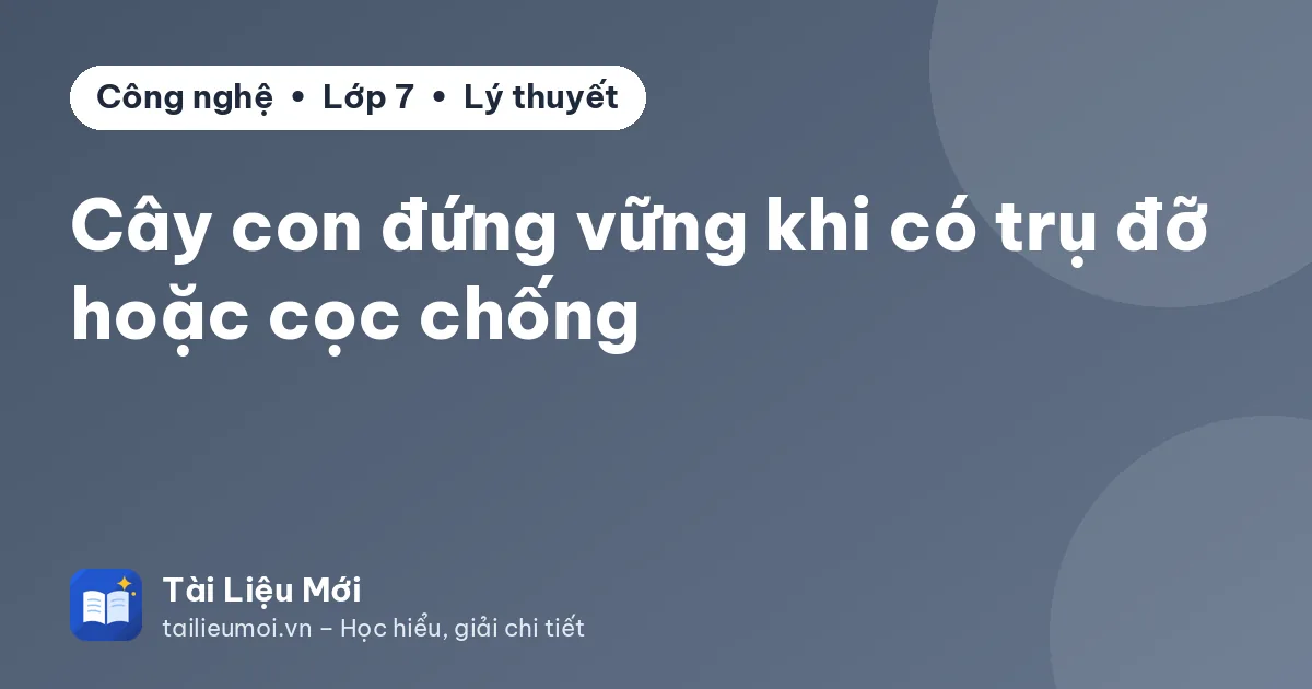 Cây con đứng vững khi có trụ đỡ hoặc cọc chống