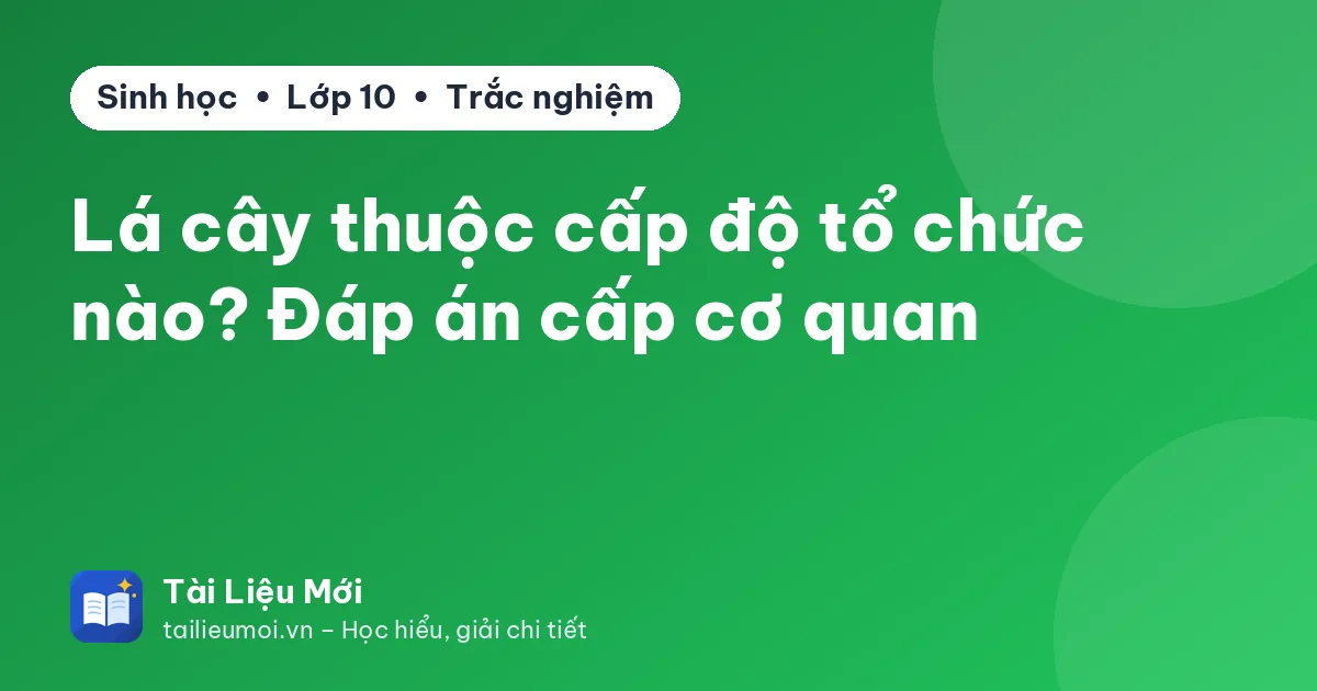 Lá cây thuộc cấp độ tổ chức nào? Đáp án cấp cơ quan
