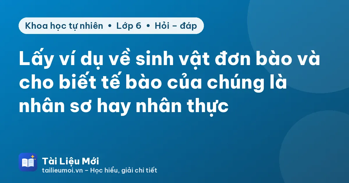 Lấy ví dụ về sinh vật đơn bào và cho biết tế bào của chúng là nhân sơ hay nhân thực