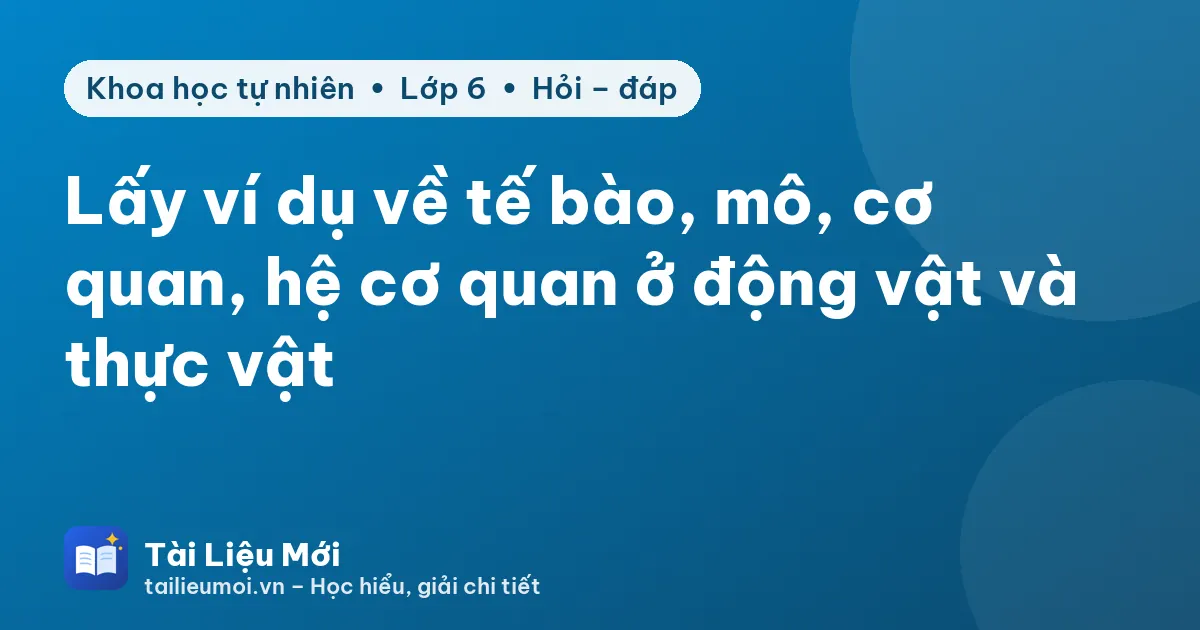 Lấy ví dụ về tế bào, mô, cơ quan, hệ cơ quan ở động vật và thực vật
