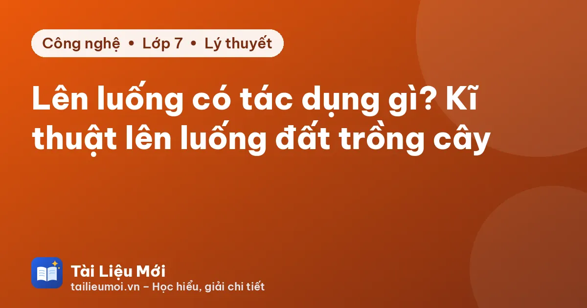 Lên luống có tác dụng gì? Kĩ thuật lên luống đất trồng cây