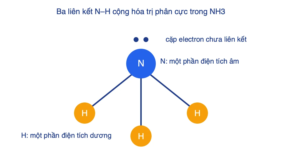 Sơ đồ phân tử NH3 với 3 liên kết N–H và cặp electron chưa liên kết trên nguyên tử N