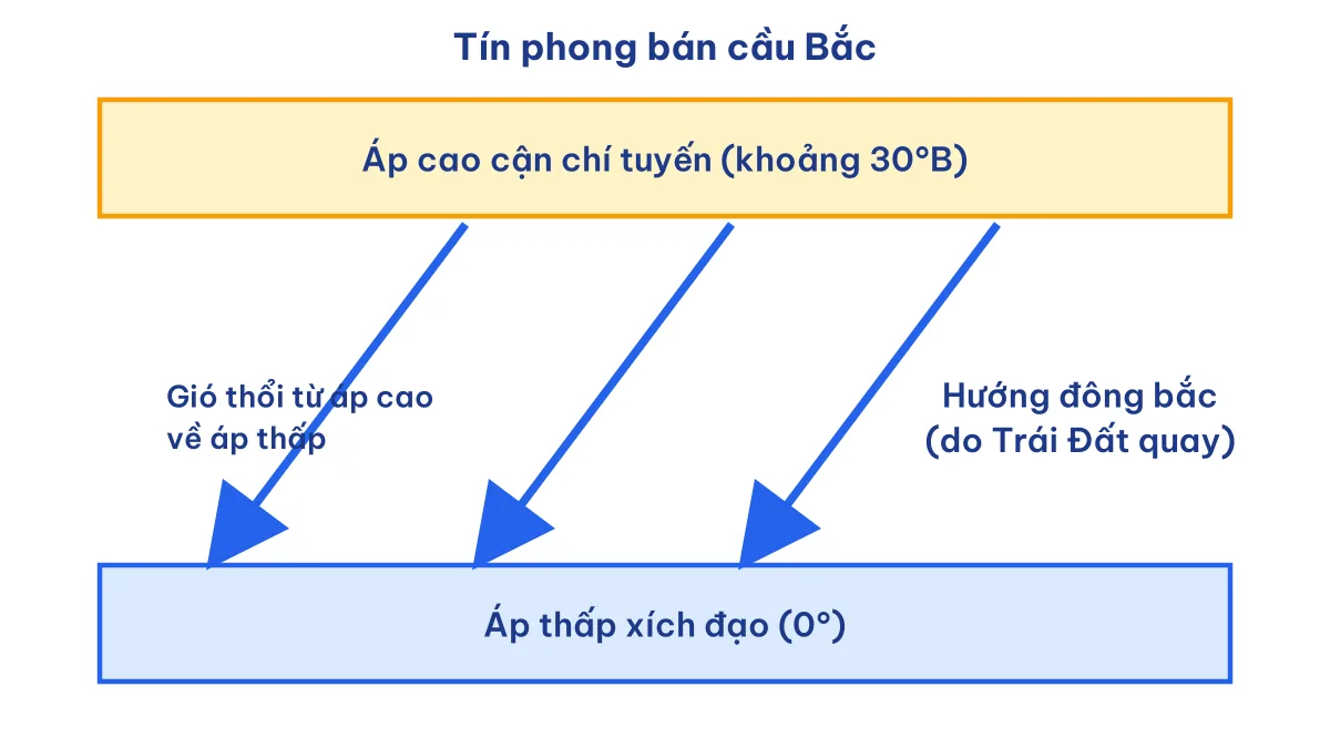 Sơ đồ gió Tín phong bán cầu Bắc thổi quanh năm theo hướng đông bắc