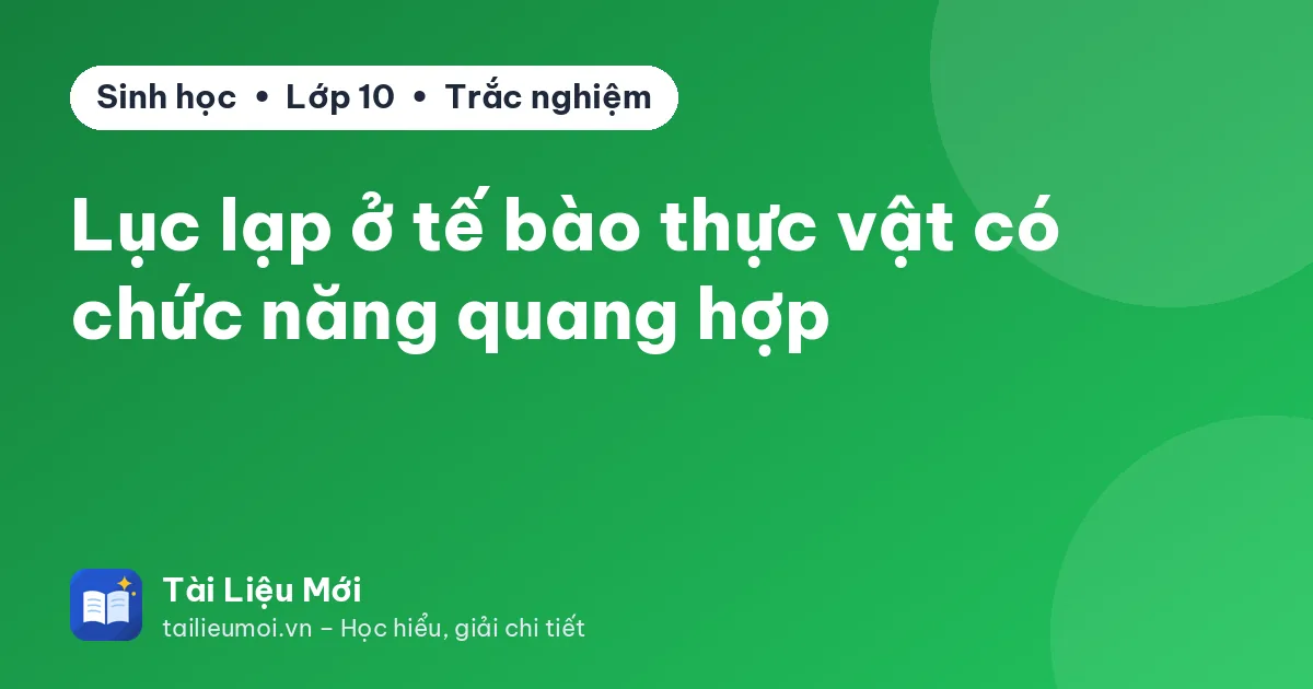 Lục lạp ở tế bào thực vật có chức năng quang hợp