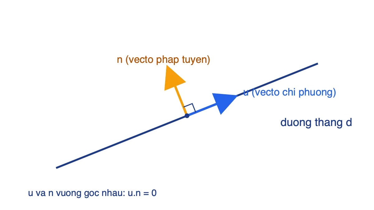 Đường thẳng d với vectơ chỉ phương u nằm dọc d và vectơ pháp tuyến n vuông góc với d