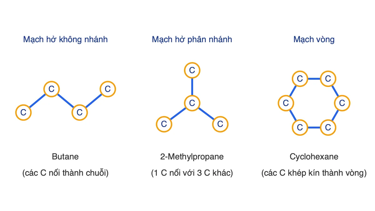 Ba dạng mạch carbon: không phân nhánh, phân nhánh và mạch vòng