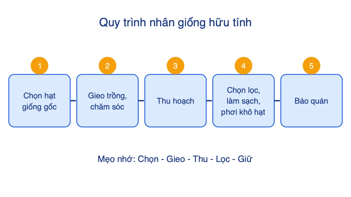 Sơ đồ 5 bước quy trình nhân giống hữu tính cây trồng