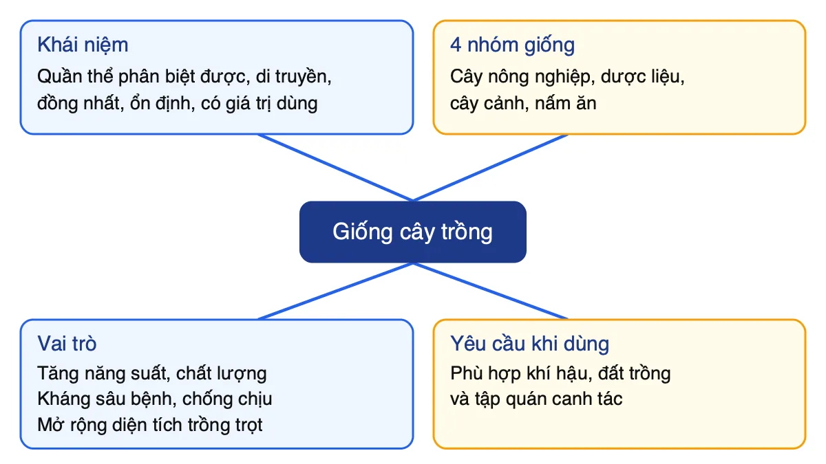 Sơ đồ tư duy Bài 11 Công nghệ 10: khái niệm, 4 nhóm, vai trò và yêu cầu của giống cây trồng