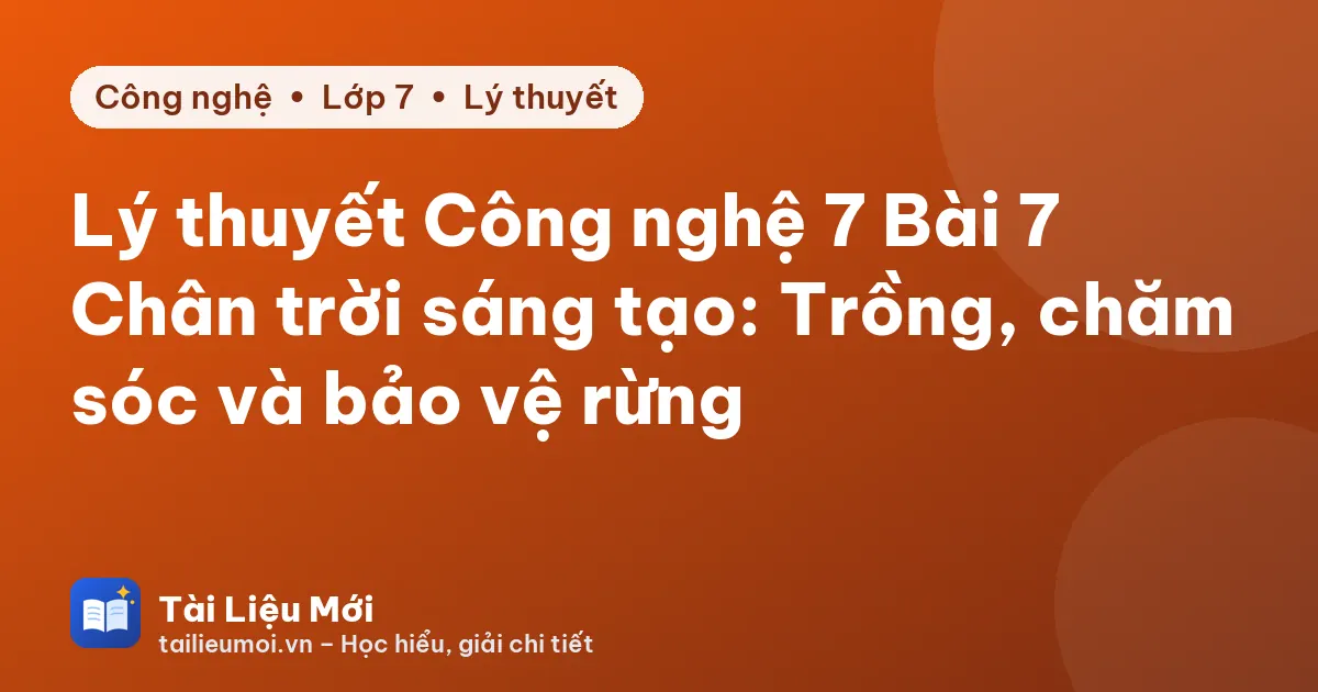Lý thuyết Công nghệ 7 Bài 7 Chân trời sáng tạo: Trồng, chăm sóc và bảo vệ rừng