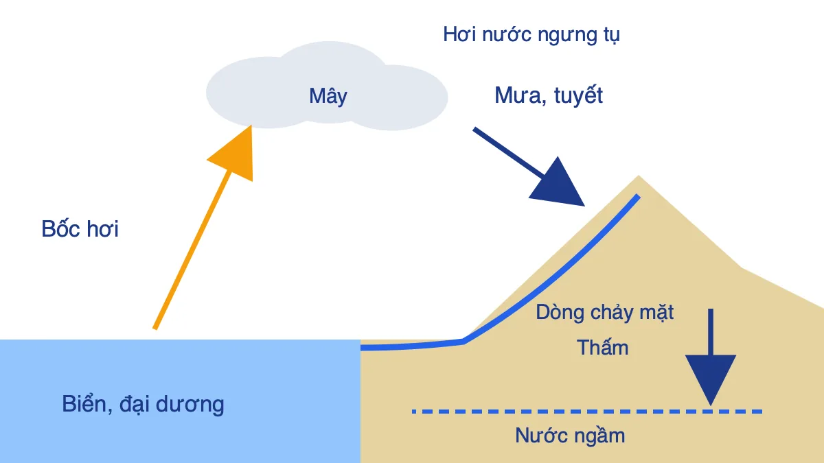 Sơ đồ vòng tuần hoàn nước giữa biển, khí quyển và lục địa