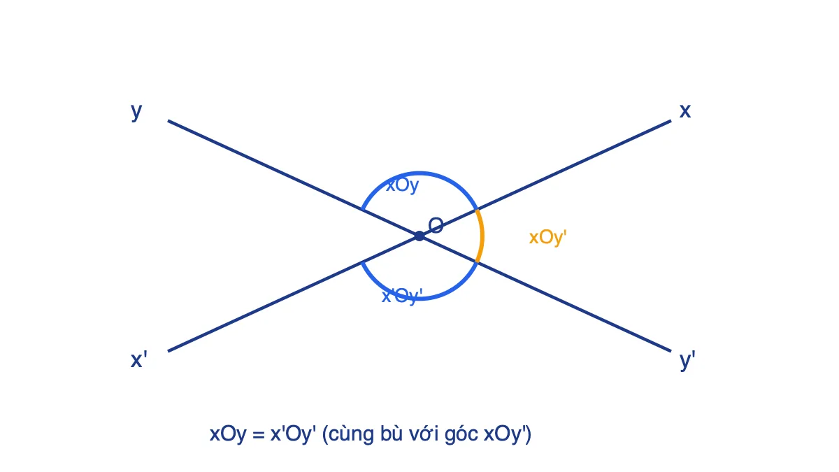 Hai đường thẳng xx' và yy' cắt nhau tại O, tạo hai góc đối đỉnh xOy và x'Oy'